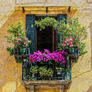 Cobblestone Street of Tuscany Photograph by David Letts - Fine Art America