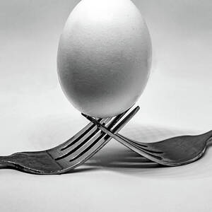 Forking Egg on White by Kevin Anderson