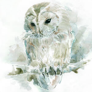 Garden Friends Owl by Carol Robinson