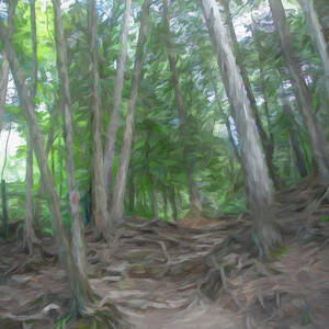 Getting to the Root of the Problem, Painterly by John Twynam
