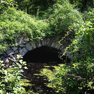 Glimpse of Sands Bridge by Steven Nelson