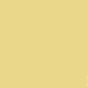 Cream Light Pastel Yellow Solid Color Coordinates With Valspar America Ivory Lace 7003 6 Digital Art By Melissa Fague We hope you enjoy our growing collection of hd. cream light pastel yellow solid color