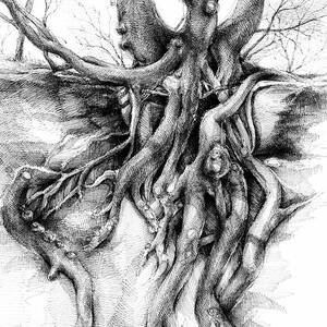 Graceful tree that grows on the sandstone II by Adriana Mueller