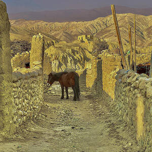 Himalayan Horse with No Name by Matthew Bamberg
