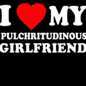 I Love My Hot Pulchritudinous Girlfriend by Flippin Sweet Gear