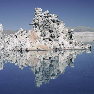 The Invisible Light of Noon by Mike Lee