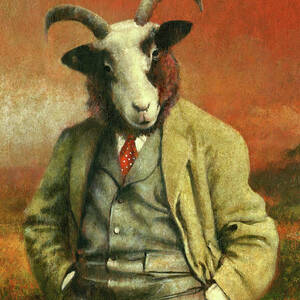 Jacob Sheep Gentleman by Michael Thomas