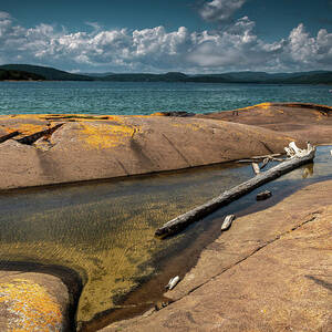 Lazy Logs by Doug Gibbons