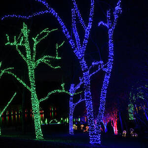 Meadowlark Botanical Gardens Winter Walk Of Lights Vienna