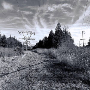 Mud Mountain Powerlines by Cathy Anderson