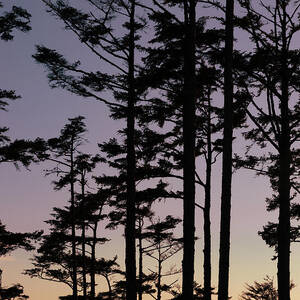 Washington Sunset Colors by Ana V Ramirez