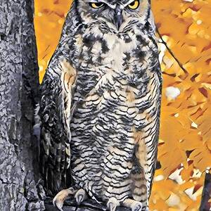 Goedaardig Wortel Toestand Great Horned Owl Photograph by Dlamb Photography - Pixels