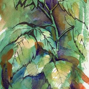 Raspberry Leaves Vertical by Tammy Nara