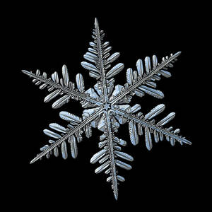 Real snowflake 2016-01-09_2b by Alexey Kljatov