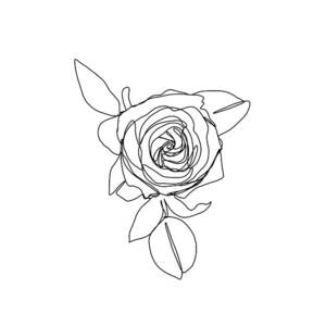 Pink Flower Petal One Line Art Drawing By Doodle Intent