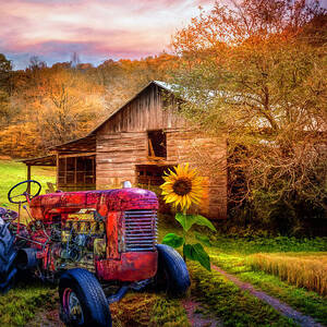Rusty Red on the Farm by Debra and Dave Vanderlaan