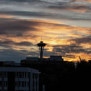 Space Needle Sunset  by Cathy Anderson