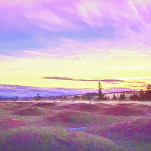 Sunset At Mima Mounds by Macro Abundance Art