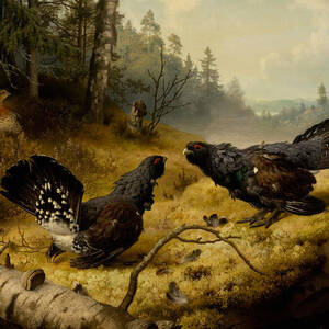 The Fighting Capercaillies, 1886 by Ferdinand von Wright
