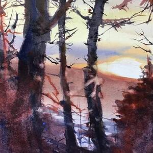 The Magic Hour by Judith Levins