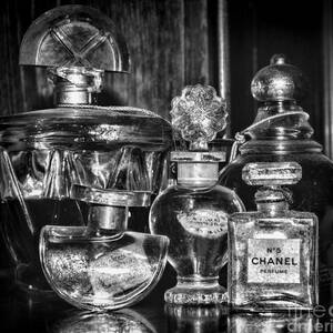 A small, yet intimate, collection of various perfume bottles. Photograph by  Paul Ward - Pixels