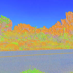 The Road Through Joshua Tree National Park by Bruce Block