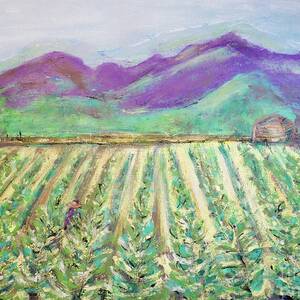 Tobacco Rows - NC Landscape- Scenes by Patty Donoghue