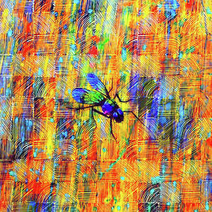 Vibrant abstract fly on a colorful background of stripes and squares - digital art by Nicko Prints