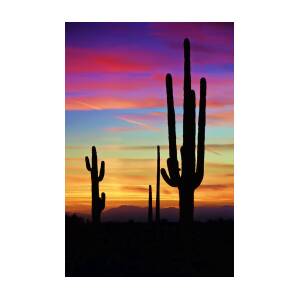 A Southwest Saguaro Sunset Photograph by Saija Lehtonen - Fine Art America