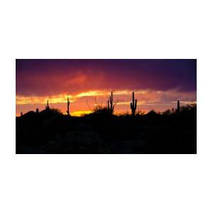 A Sunset Silhouette Photograph by Saija Lehtonen - Fine Art America
