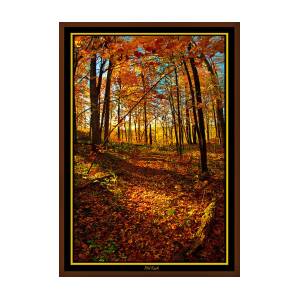 A Wisconsin Autumn Photograph by Phil Koch - Fine Art America