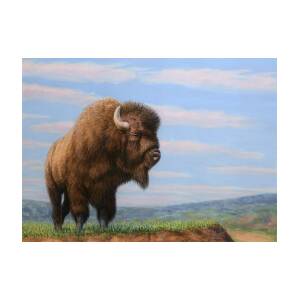 American Bison Painting by James W Johnson - Fine Art America