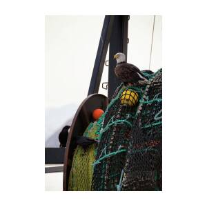 An Eagle Sits On The Fishing Nets On A by Marion Owen / Design Pics