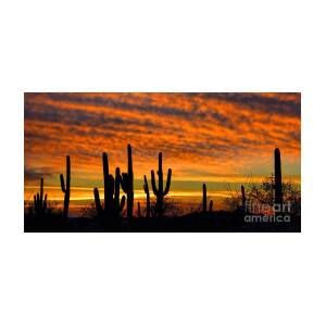 Arizona Desert Sunset Photograph by Henry Kowalski | Fine Art America