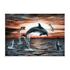 Dolphin Sunset Painting by Mary Singer - Fine Art America