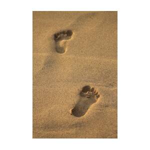 Footprints Photograph by Pamela Walton - Fine Art America