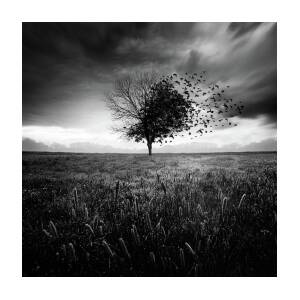 Illusion D'un Printemps Perdu by Sebastien Del Grosso