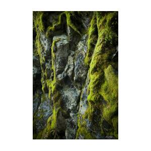 Moss Rocks Photograph by M E Cater - Pixels