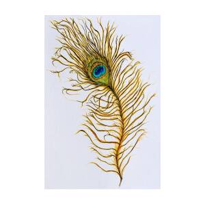 Peacock Feather Painting by Anne Clark | Fine Art America