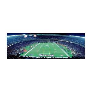 Philadelphia Eagles Nfl Football Photograph by Panoramic Images - Pixels