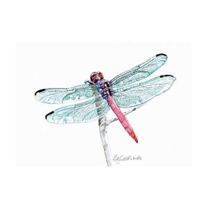 Nature Photography 30X40 Dragonfly Pink