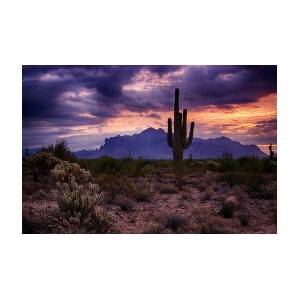 Pink Skies at the Superstitions Photograph by Saija Lehtonen