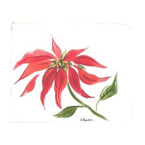 Poinsettia 12 Painting by Ruth Bevan - Fine Art America