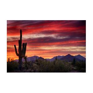 Red Hot Sonoran Sunset Photograph by Saija Lehtonen - Fine Art America