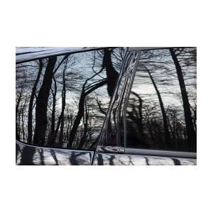 Reflection of Seasonal Trees in the Car Window Stock Photo - Image of  colors, branches: 65803250