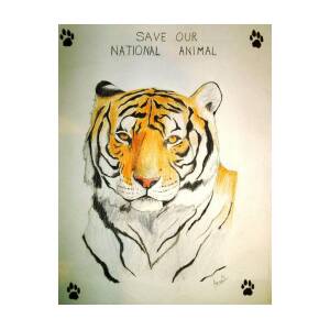 Save National Animal of India Drawing by Anant Sindal - Fine Art America