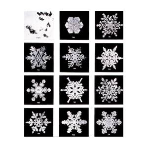 Bentley Snowflakes Stencil