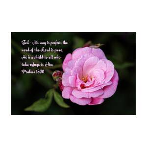 linda rose word