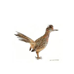 Roadrunner New Mexico State Bird Watercolor Print  Desert Southwest Bird Wildlife Print 8x10