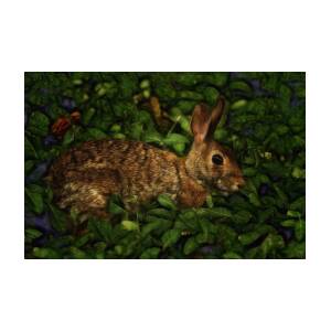 Rabbit Photograph by Linda Tiepelman